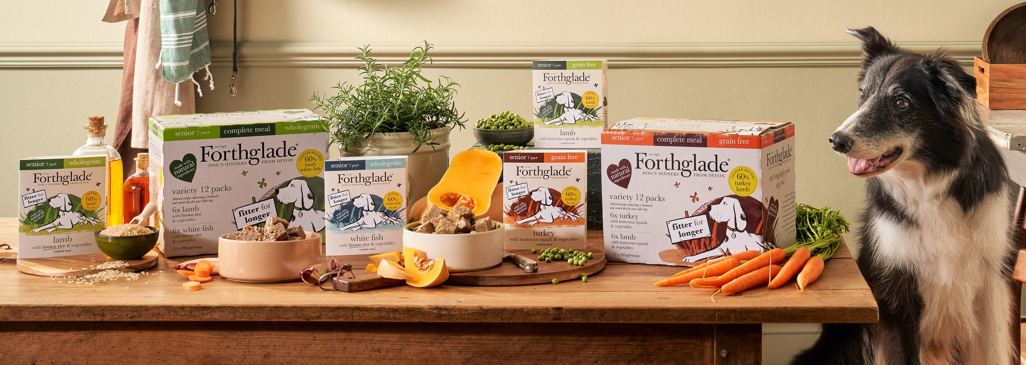Senior dog food header desktop