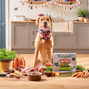 British Classics Chicken, Lamb & Turkey Dog Food Variety Pack