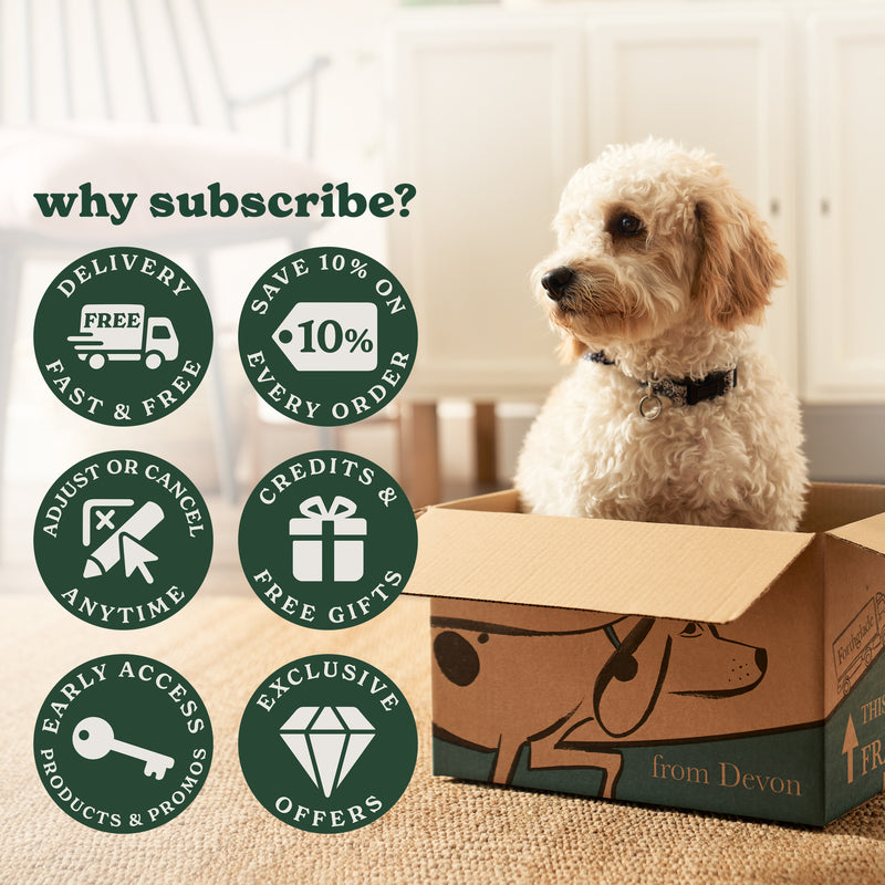 Sub image4