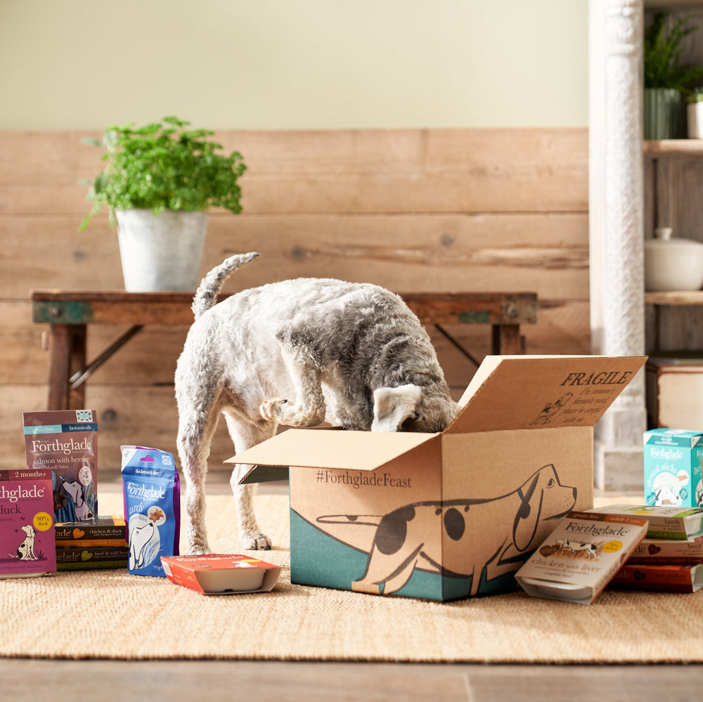 Transit Box 10 Shopify Product