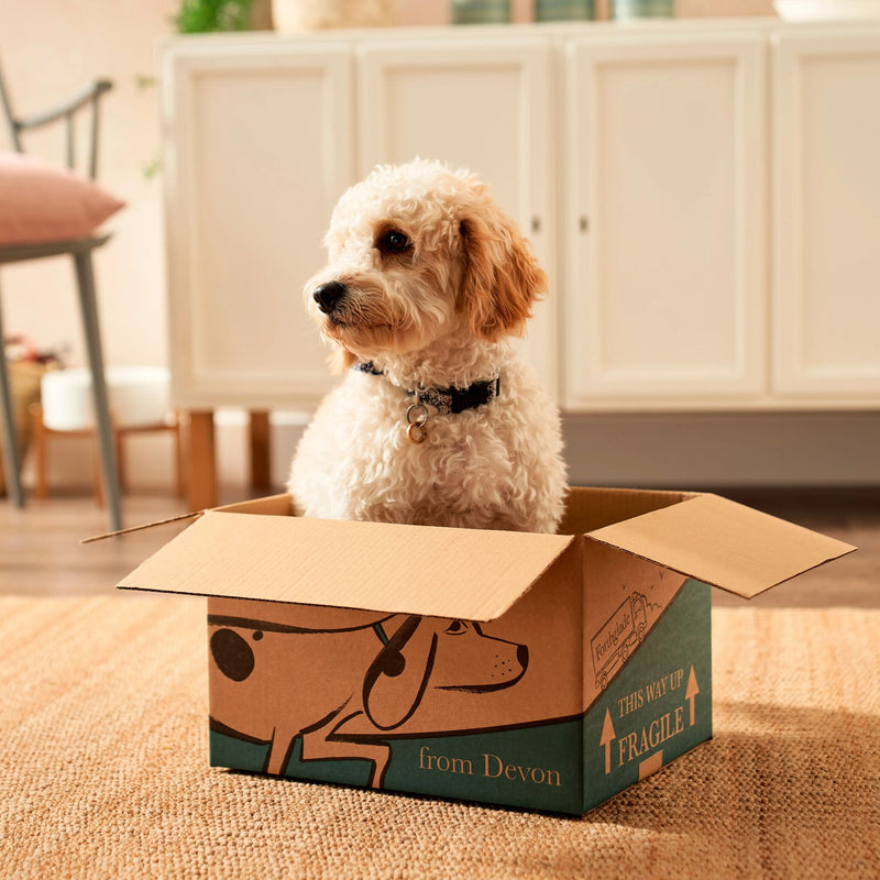 Transit Box 24 Shopify Product