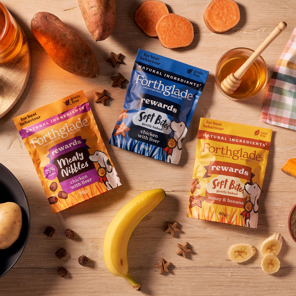 Treats Rewards Range Topdown NOmeat Shopify Product