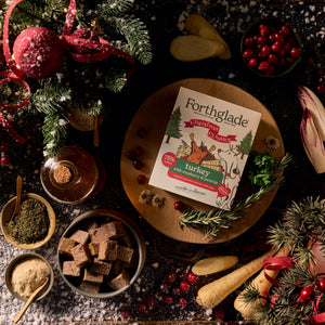 Christmas Classics Cranberry & Parsnip Wet Dog Food