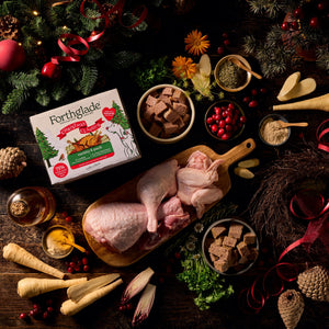 Christmas Classics Wet Dog Food Variety Pack