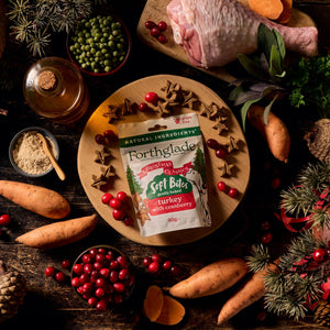 Christmas Classics Dog Treats with Turkey & Cranberry