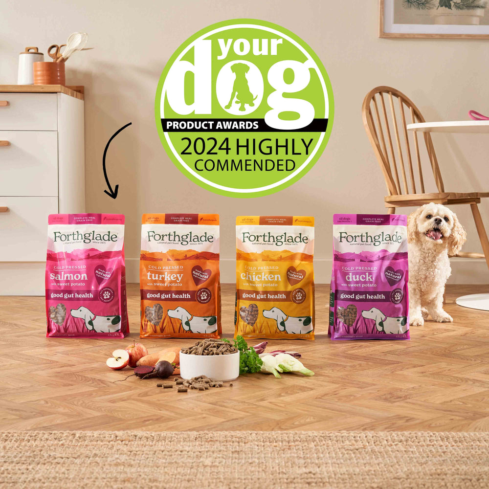 Your Dog CP 2024
