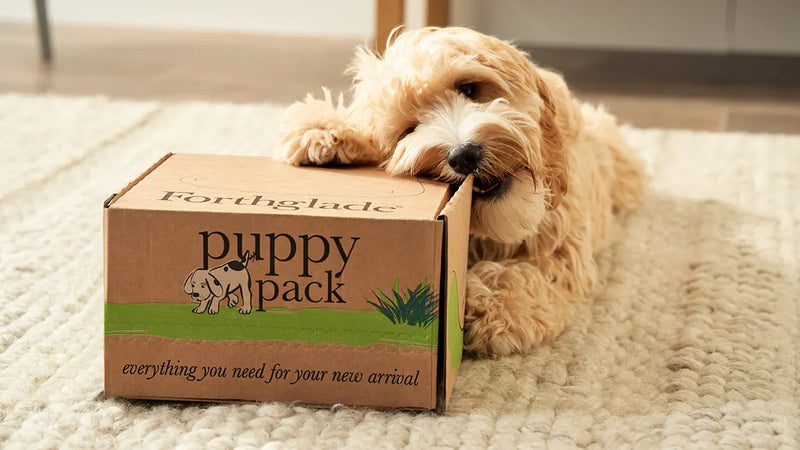 puppy box