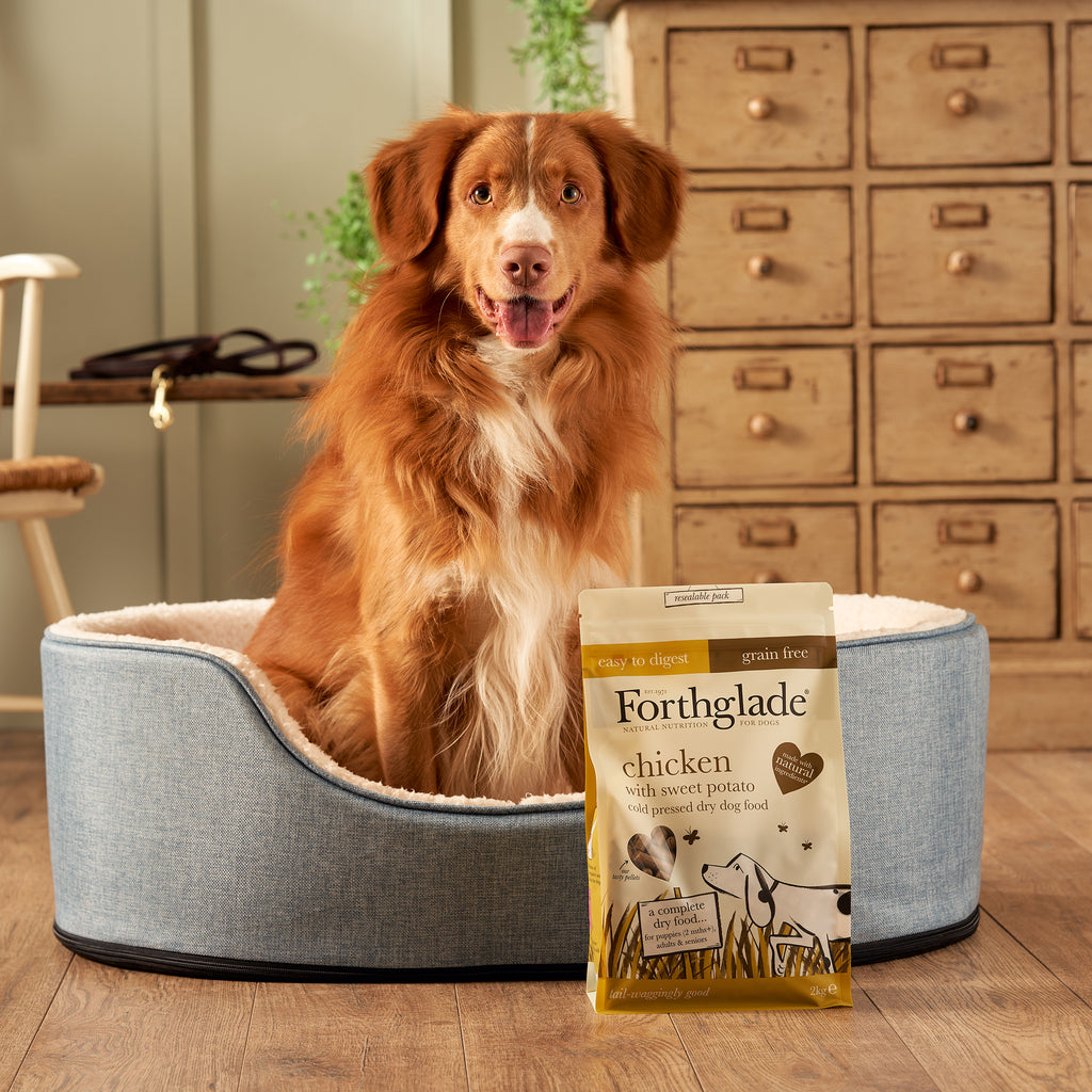 Forthglade Cold Pressed Chicken Natural Dry Dog Food
