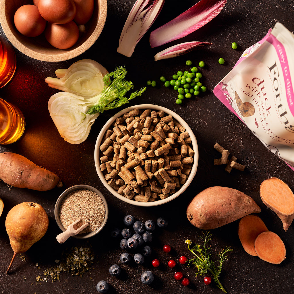 Forthglade Cold Pressed Duck Natural Dry Dog Food