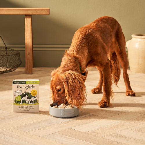 Puppy Lamb & Liver Wet Dog Food