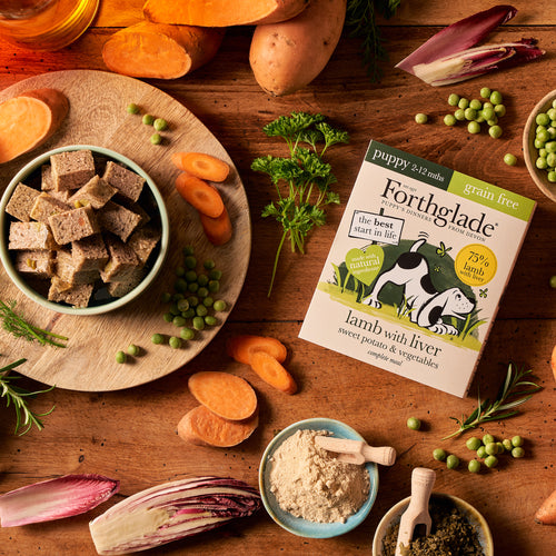 Puppy Lamb & Liver Wet Dog Food