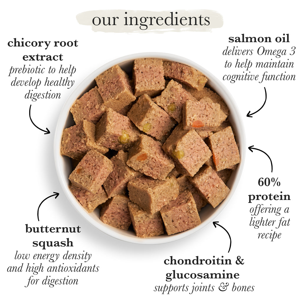 Senior Trukey & Butternut Squash Grain Free Wet Dog Food Forthglade