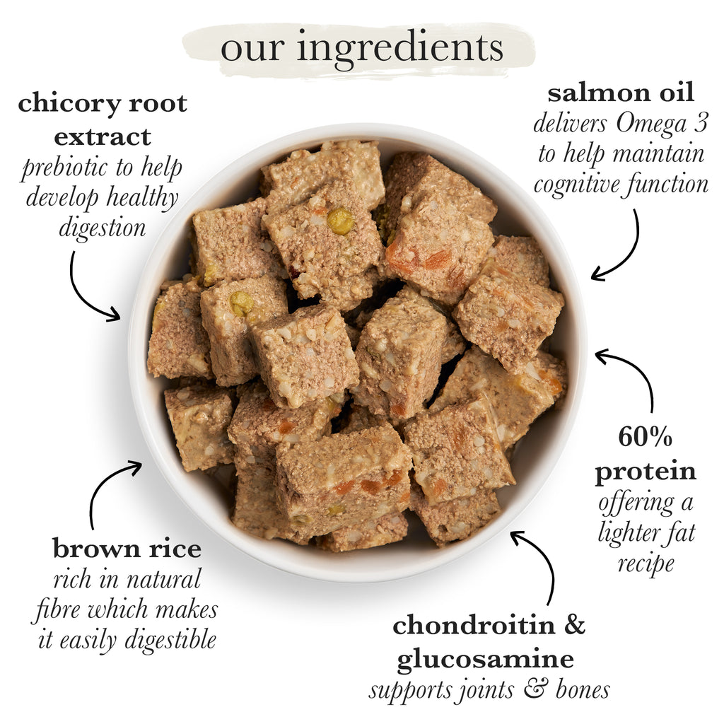 Senior Variety Pack with Brown Rice & Vegetables Wet Dog Food Forthglade