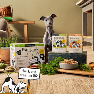 Puppy Chicken & Lamb Wet Dog Food Variety Pack