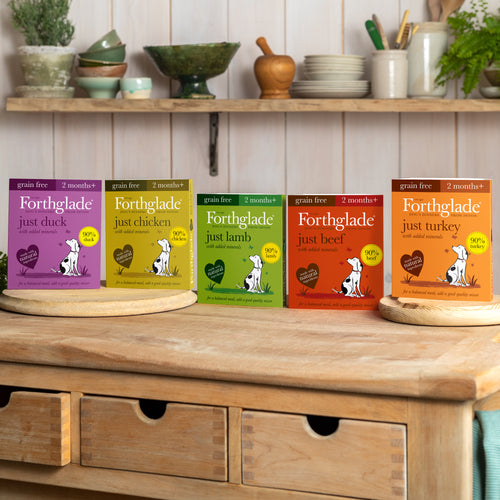 Just Duck Complementary Wet Dog Food