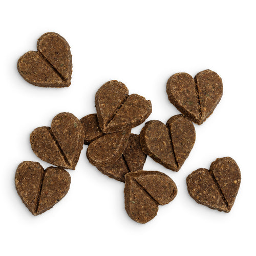 Salmon Dog Treats (1 x 90g)