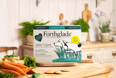 Packaging Improvements for Better Delivery