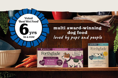 Your Dog 2026 Winners!