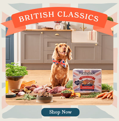 NEW British Classics Recipes