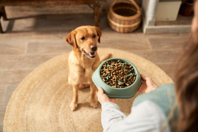 Baked vs extruded vs cold pressed dog food: what's the difference & what's best?