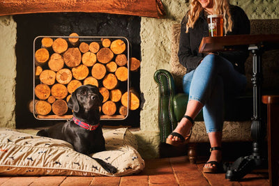 woman sat in a pub with a pint of beer and a dog lying in a dog bed on the floor
