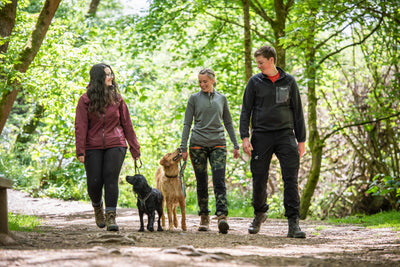 Going hiking with your canine companion this Summer