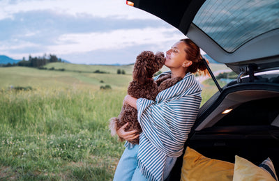 Preparing Your Dog for Car Travel