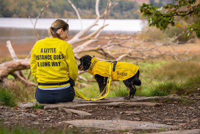 ‘National Dogs in Yellow Day’ Awareness Walk