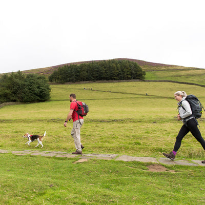 The Great Dog Walk Challenge