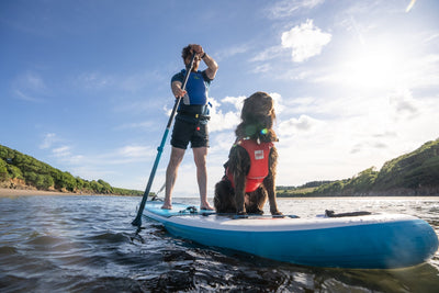 Paddle boarding with your dog