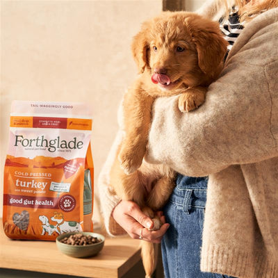 When can puppies eat dry food?