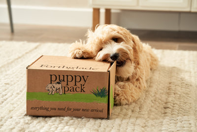 Can Puppies Eat Adult Dog Food & Vice Versa?