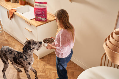 How to store dry dog food