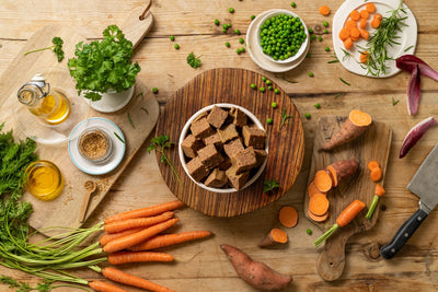 Is grain free food good for dogs?