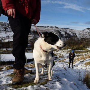 Top Winter Walks