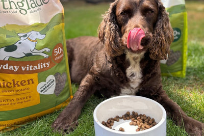 Cold Pressed vs Lightly Baked Dog Food