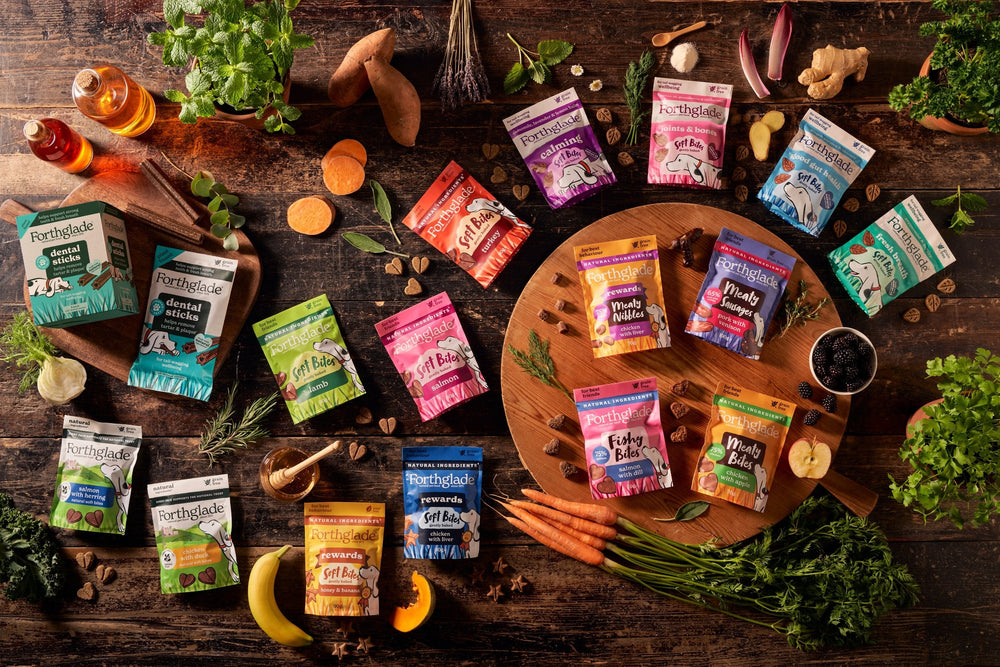 Healthy Dog Treats