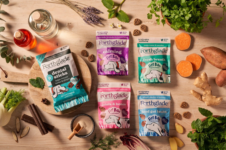 grain-free-wellbeing-dog-treats