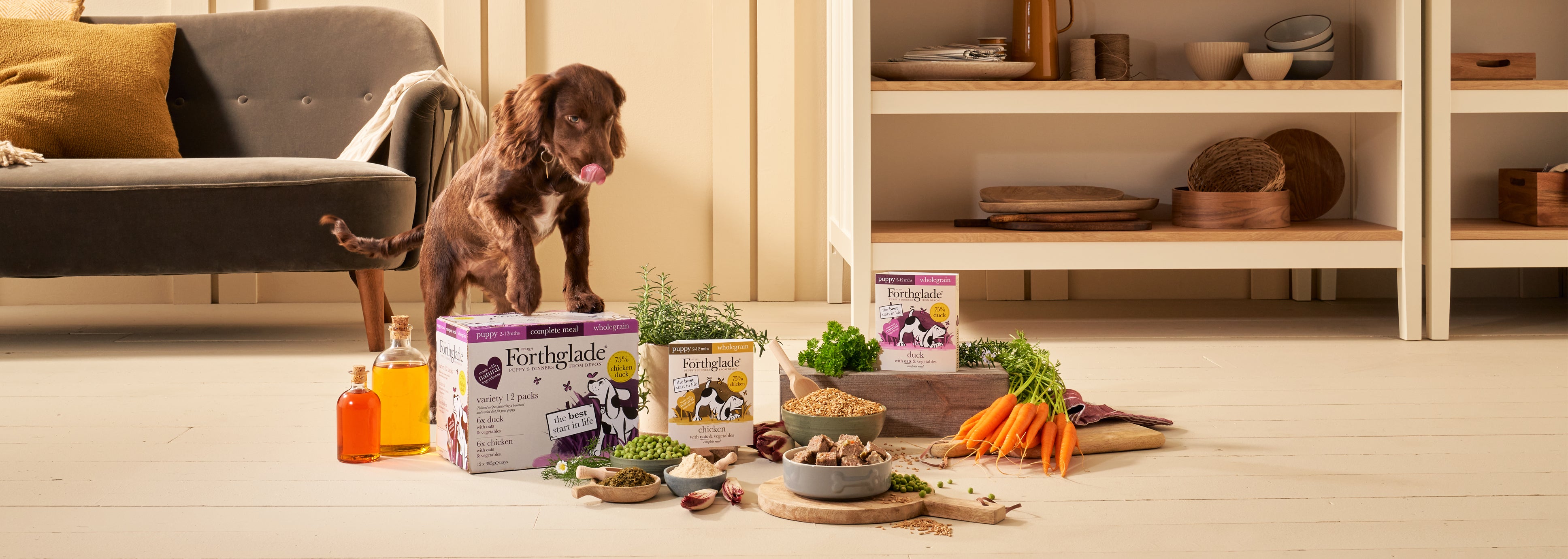 Best puppy soft food best sale