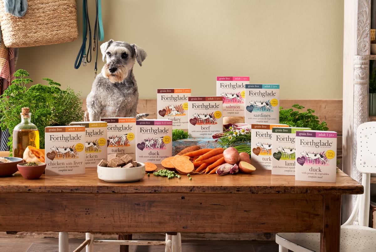 Wet Dog Food Natural Healthy Canned Dog Food Forthglade wet-dog-food-natural-healthy-canned-dog-food-forthglade