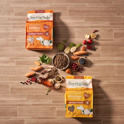 Cold Pressed Chicken & Turkey Dry Dog Food Bundle (2 x 10kg)