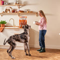 Cold Pressed Turkey Dry Dog Food