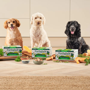Small Breed Chicken, Turkey & Lamb Dog Food