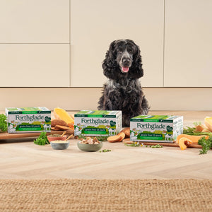 Small Breed Senior Dog Food Variety Pack