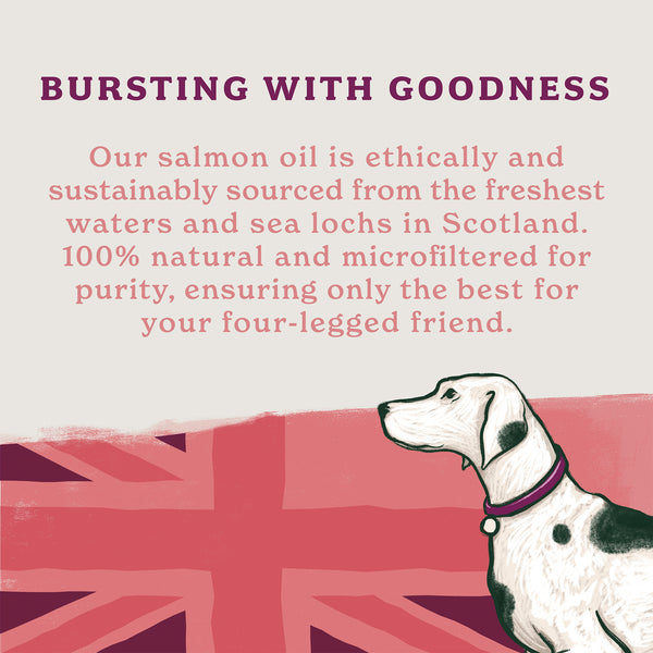 100% Natural Scottish Salmon Oil