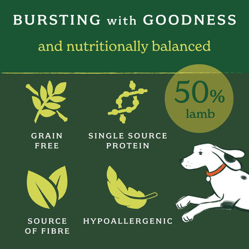 Lightly Baked Lamb Dry Dog Food