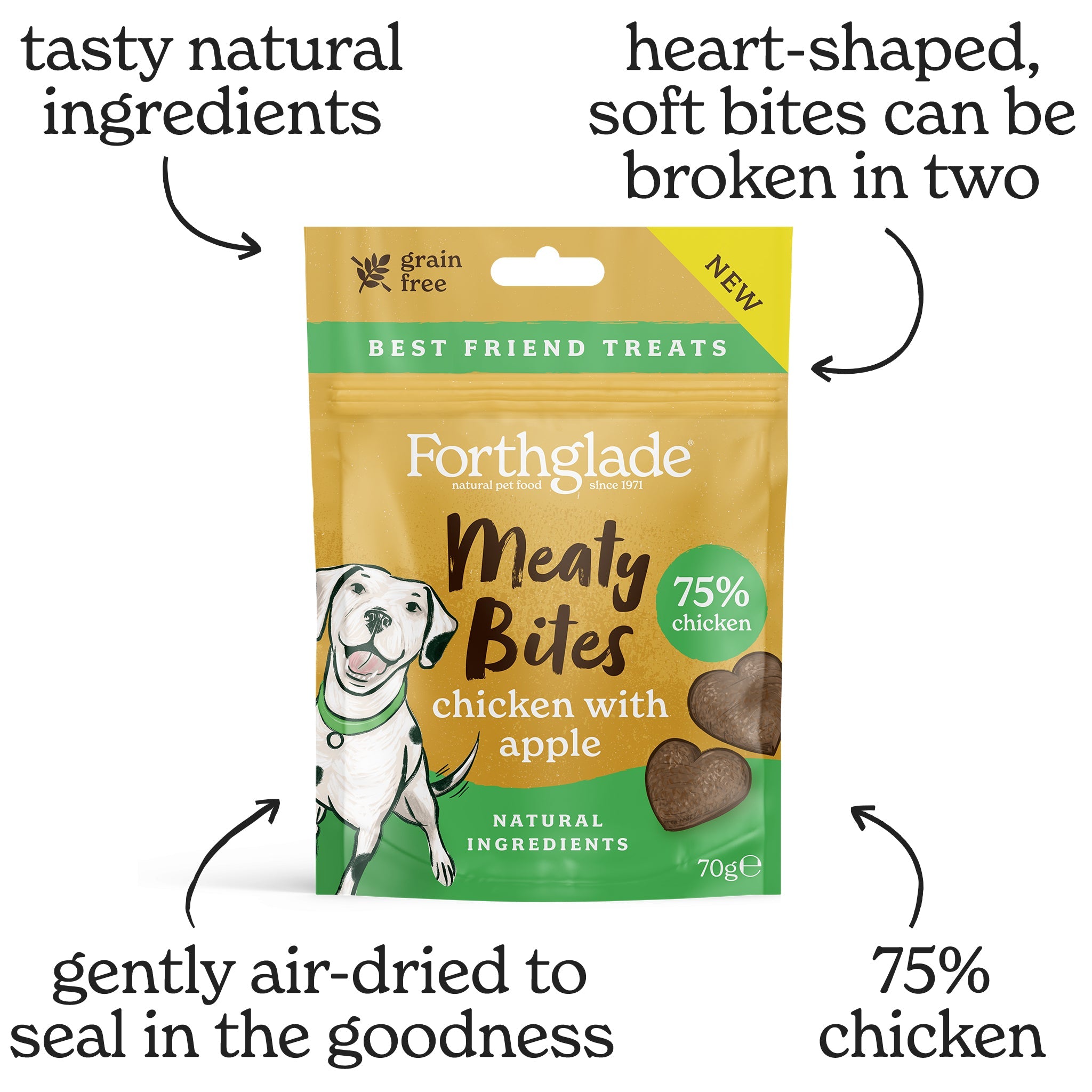 Best dog outlet treats for labs