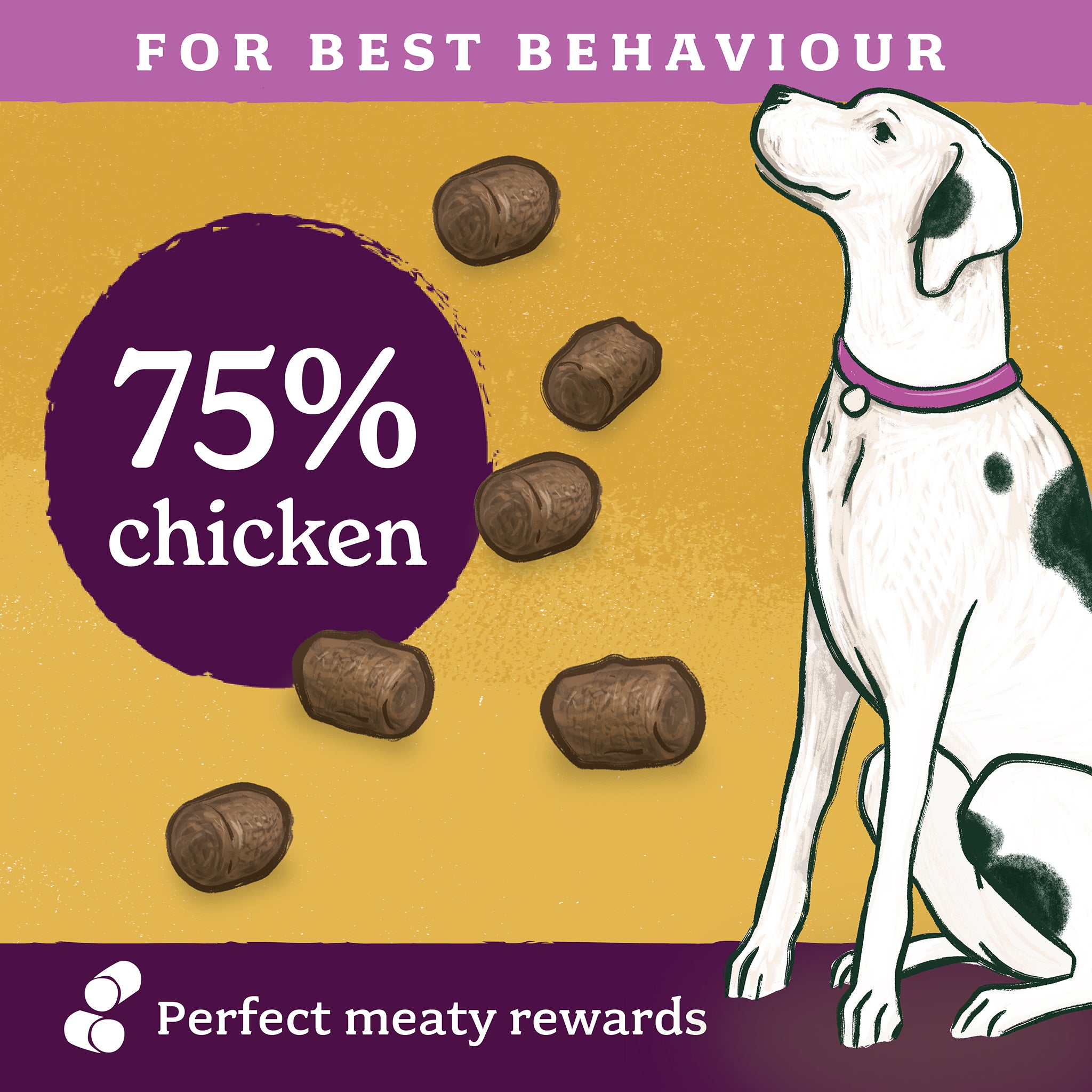 Meaty treats clearance