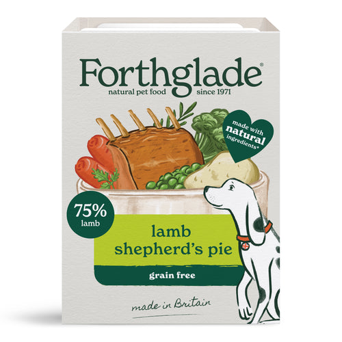 Small Portion Lamb Shepherd's Pie