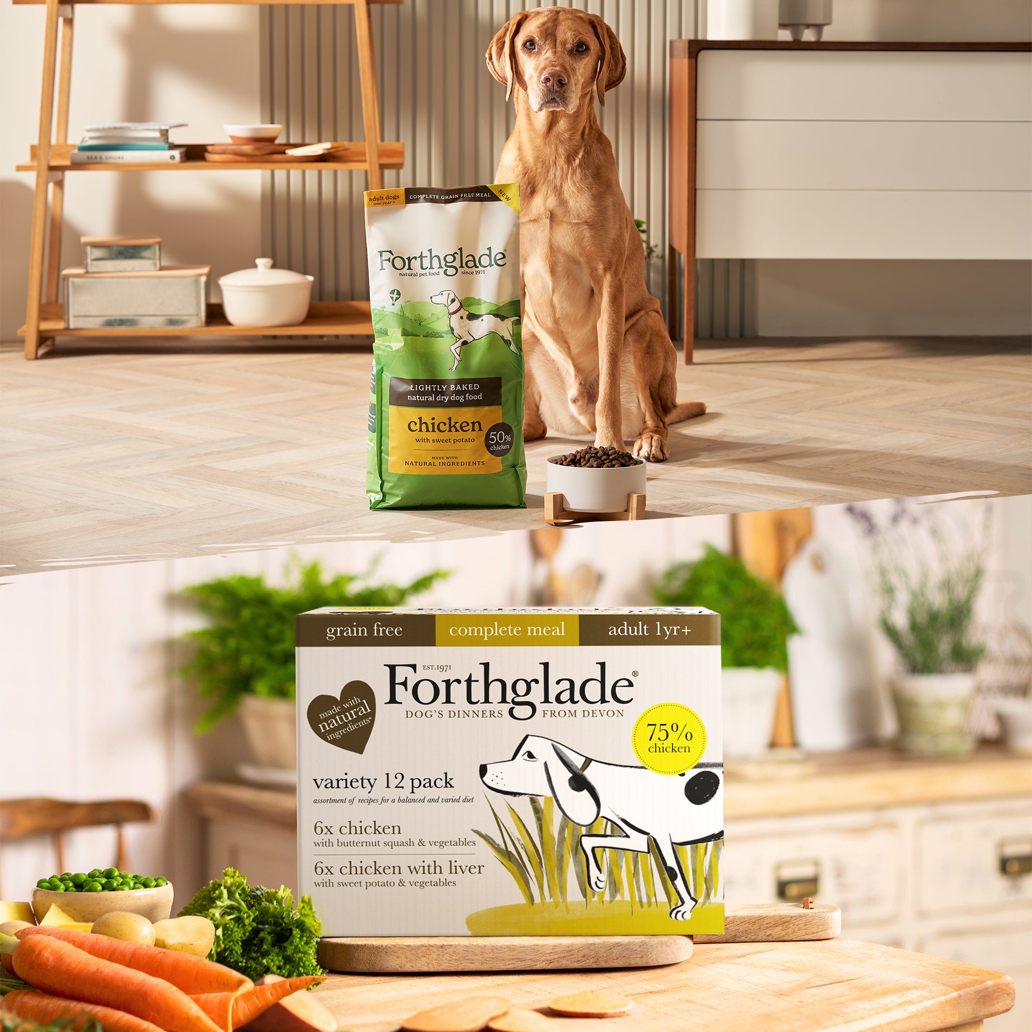 Dog Food Multipacks Bundles Forthglade